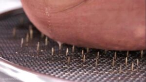סרטי סקס Queensnake.com – Tit Tacks 2